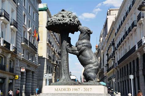 hay osos en madrid|¿Por qué hay un oso y un madroño en el escudo de。